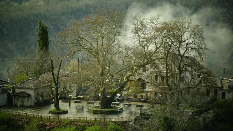 Βίτσα Πετρόκτιστο Αρχοντικό "Ιόλη" Με Θέα Ζαγόρι Villa Buitenkant foto